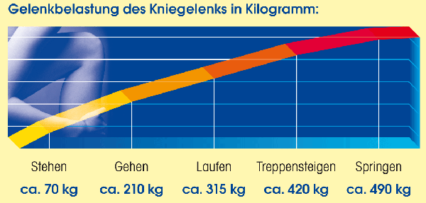 Gelenke Belastung bei unterschiedlichen Belastungen - Quelle_Haras Pharma