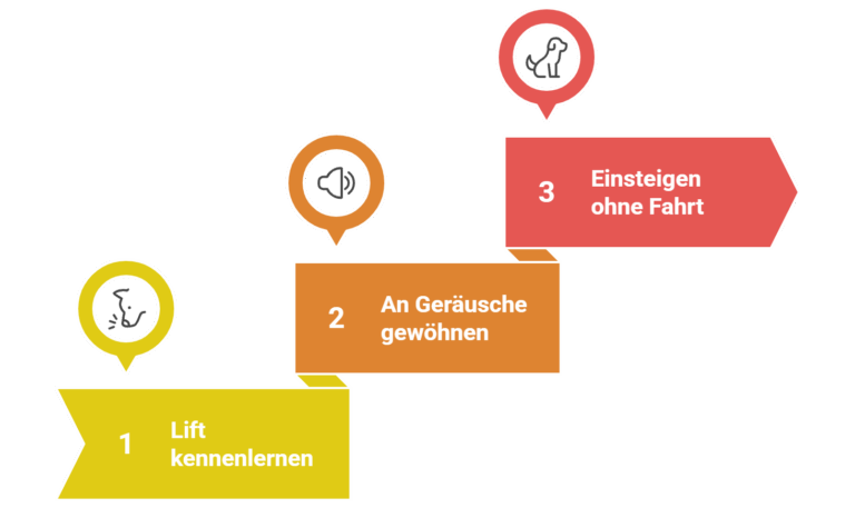 Die ersten Schritte zur Eingewöhnung des Hundes an den Treppenlift - ©Altersgerecht Modernisieren